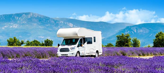 Camper in bloemenveld