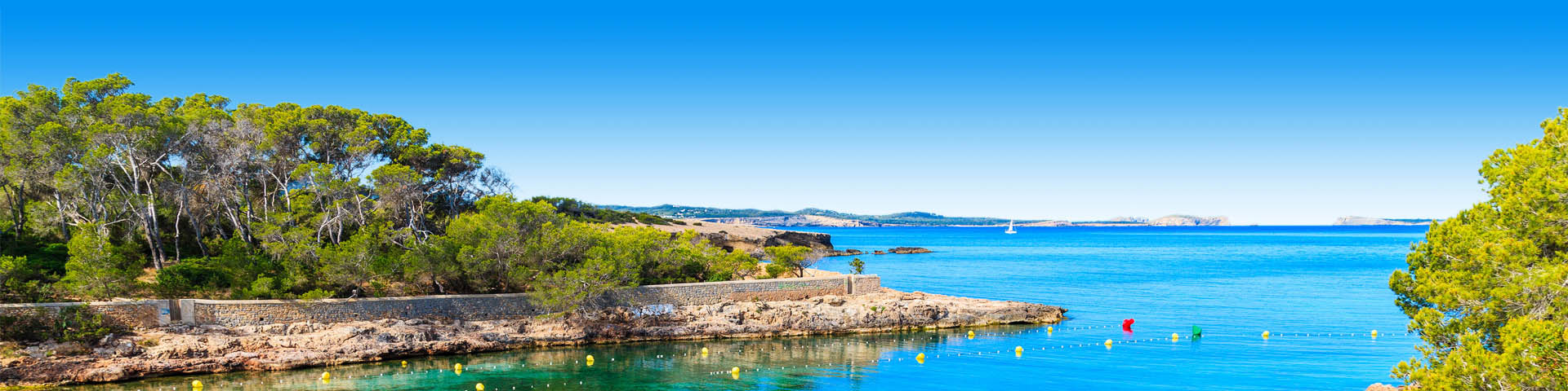 Uitzicht op de zee en de rosten bij San Antonio op Ibiza