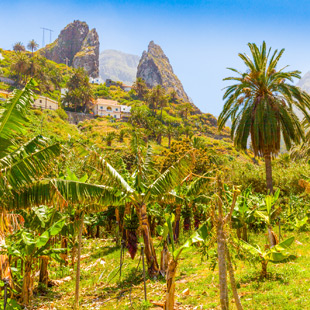 Excursies La Gomera