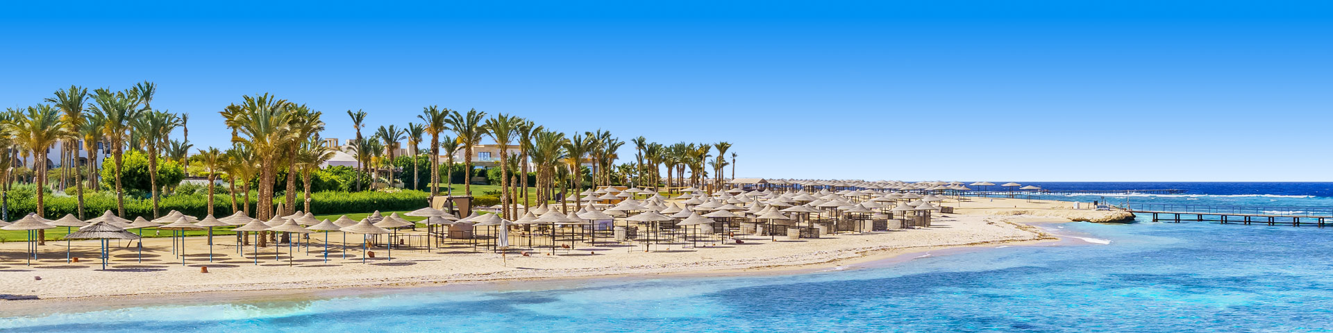 Strand met parasols en palmbomen Marsa Alam