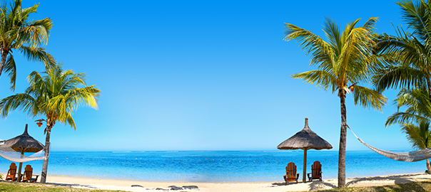 Romantiek onder de palmbomen