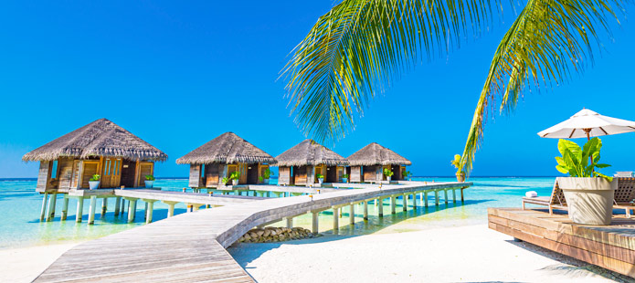 Tropische waterbungalows voor luxepoezen