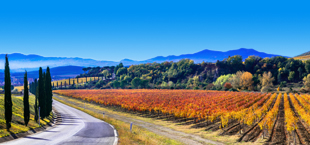 Schitterend wijnlandschap in Toscane Italië