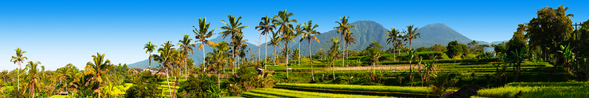 Uitzicht op bergen en palmbomen in Indonesie