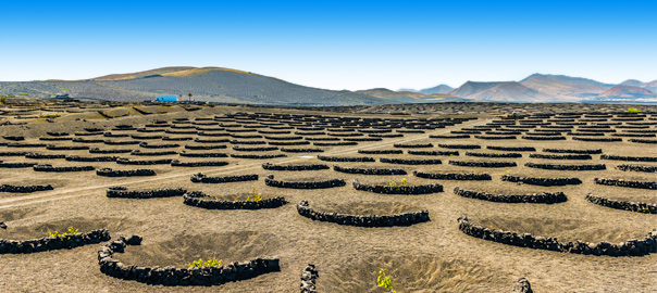 Top 5 excursies op Lanzarote! Top 5 excursies op Lanzarote!