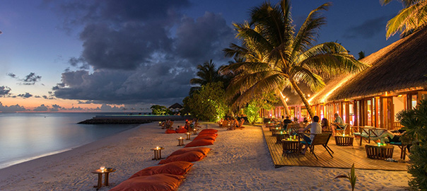 Gezellige strandtent bij schemer, omringd door palmbomen en de zee