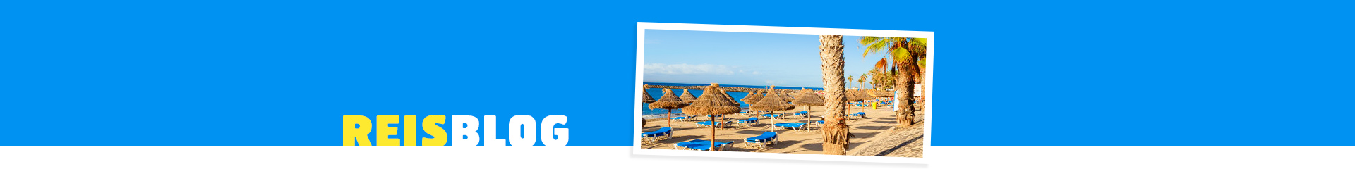 Parasols en palmbomen bij een badplaats op Tenerife